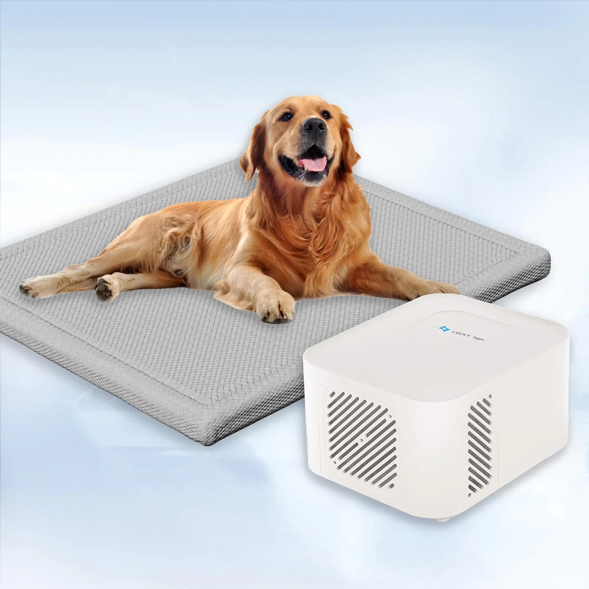 ❄️ 24/7 Cooling Comfort for Your Pet